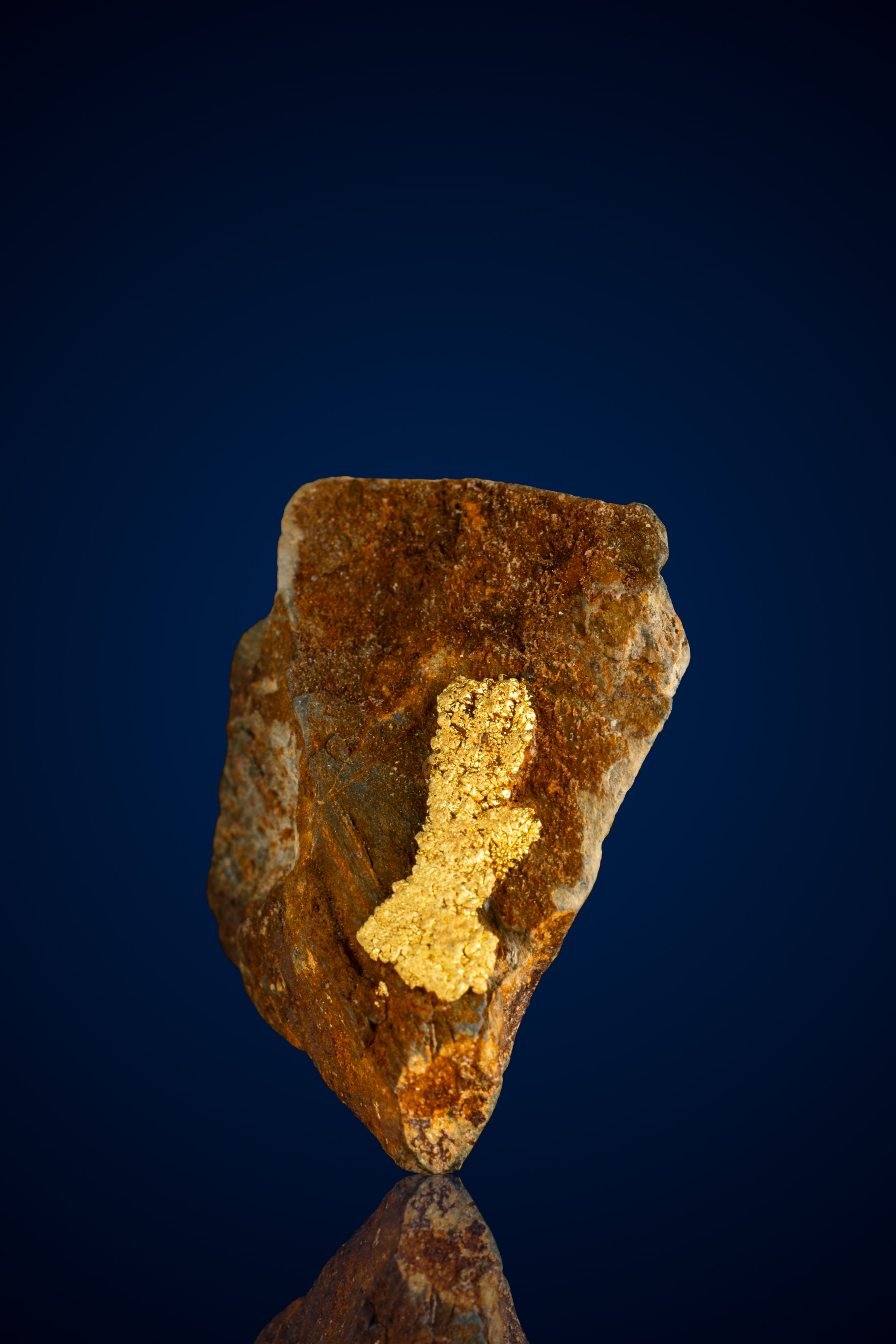 (image for) Dramatic, Earthy Host Rock with Gold Inclusion - Farncomb Hill, CO - 15.29 grams